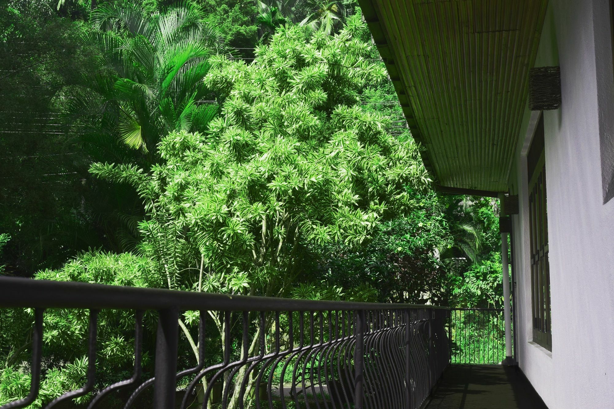Hotel Avaana By Springhills Kandy Exterior foto